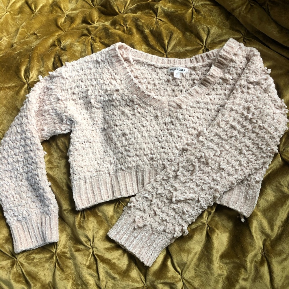 Wild Honey funky cropped sweater top
